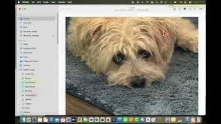 Editing a photo using Apple Photos.